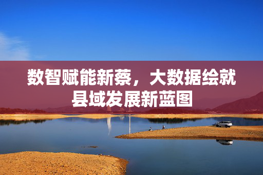数智赋能新蔡，大数据绘就县域发展新蓝图