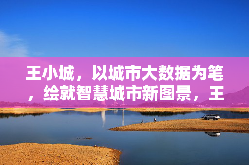 王小城，以城市大数据为笔，绘就智慧城市新图景，王小城以城市大数据绘就智慧城市新图景