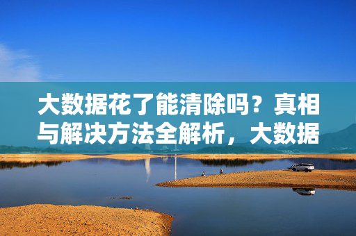 大数据花了能清除吗？真相与解决方法全解析，大数据花了能清除吗？真相与解决方法全解析