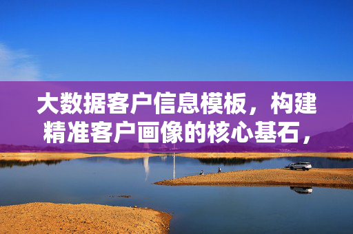 大数据客户信息模板，构建精准客户画像的核心基石，大数据客户信息模板，精准客户画像的核心基石