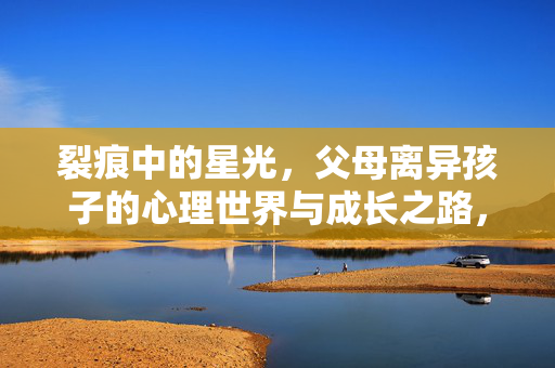 裂痕中的星光，父母离异孩子的心理世界与成长之路，裂痕里的星光，离异孩子的心理成长与自我重建