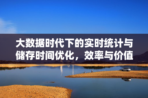 大数据时代下的实时统计与储存时间优化，效率与价值的平衡，大数据时代实时统计与储存时间优化，效率价值平衡