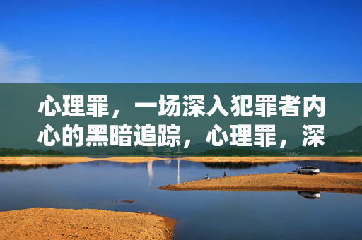 心理罪，一场深入犯罪者内心的黑暗追踪，心理罪，深入犯罪者内心的黑暗追踪
