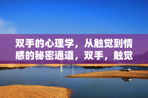 双手的心理学，从触觉到情感的秘密通道，双手，触觉与情感的秘密通道