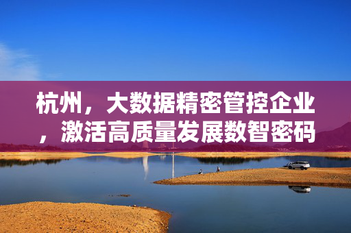 杭州，大数据精密管控企业，激活高质量发展数智密码，杭州大数据精密管控企业激活高质量发展数智密码