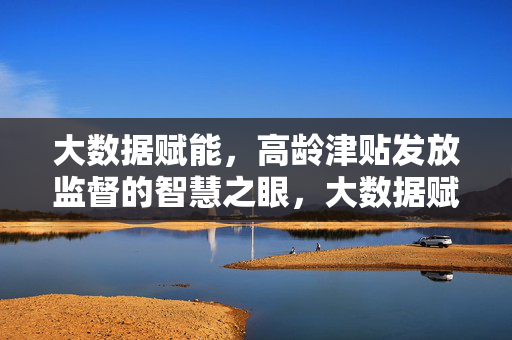 大数据赋能，高龄津贴发放监督的智慧之眼，大数据赋能高龄津贴发放监督智慧之眼