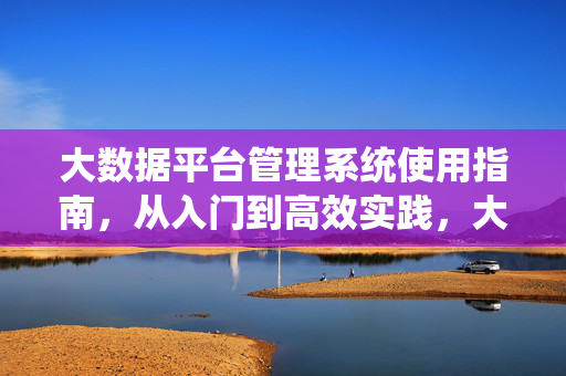 大数据平台管理系统使用指南，从入门到高效实践，大数据平台管理系统使用指南，从入门到高效实践