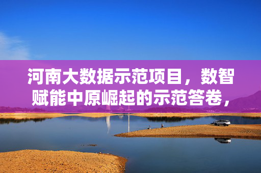 河南大数据示范项目，数智赋能中原崛起的示范答卷，数智赋能中原崛起，河南大数据示范项目答卷