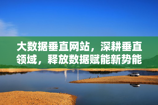 大数据垂直网站，深耕垂直领域，释放数据赋能新势能，垂直深耕释放数据赋能新势能