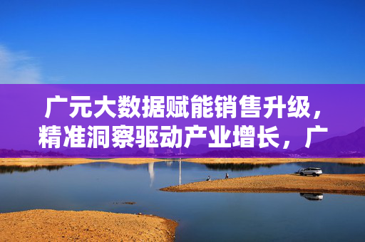 广元大数据赋能销售升级，精准洞察驱动产业增长，广元大数据赋能销售升级驱动产业增长