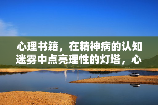心理书籍，在精神病的认知迷雾中点亮理性的灯塔，心理书籍，精神病认知迷雾中的理性灯塔