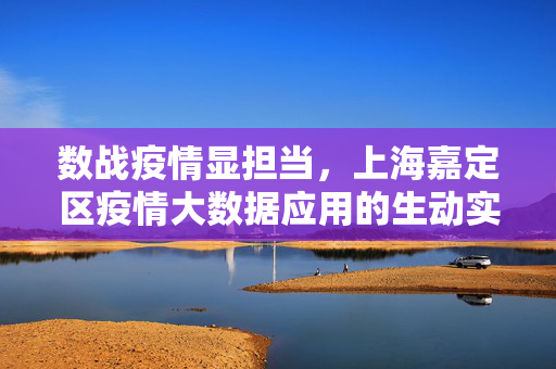 数战疫情显担当，上海嘉定区疫情大数据应用的生动实践，上海嘉定区疫情大数据应用的担当实践