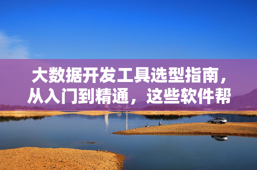 大数据开发工具选型指南，从入门到精通，这些软件帮你搞定大数据，大数据开发工具选型指南，从入门到精通