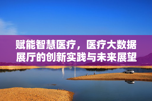 赋能智慧医疗，医疗大数据展厅的创新实践与未来展望，医疗大数据展厅，赋能智慧医疗的创新实践与未来展望