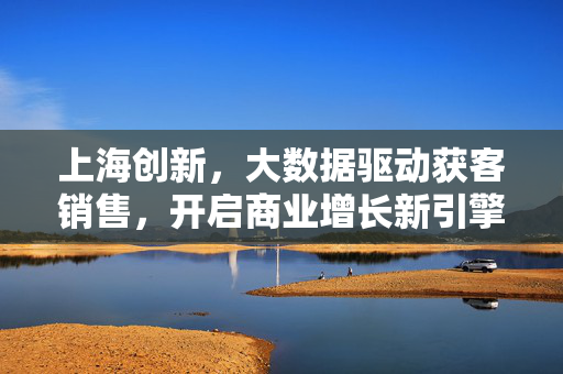 上海创新，大数据驱动获客销售，开启商业增长新引擎，上海创新，大数据驱动获客销售，开启商业增长新引擎