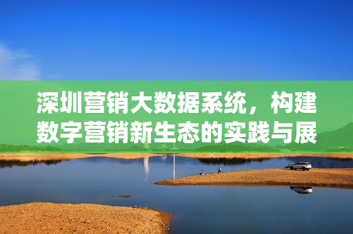 深圳营销大数据系统，构建数字营销新生态的实践与展望，深圳营销大数据系统，构建数字营销新生态的实践与展望