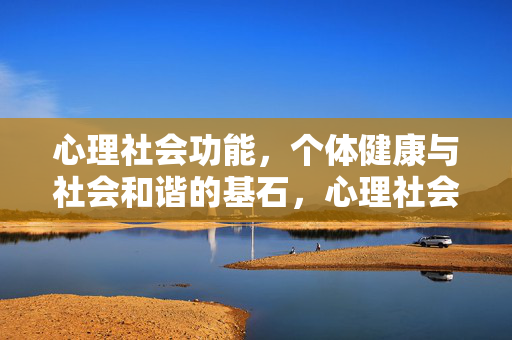 心理社会功能，个体健康与社会和谐的基石，心理社会功能，个体健康与社会和谐的基石