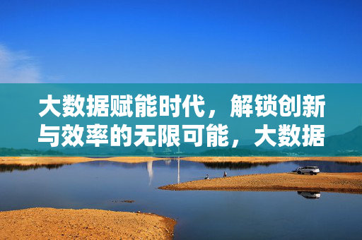 大数据赋能时代，解锁创新与效率的无限可能，大数据赋能，解锁创新与效率的无限可能