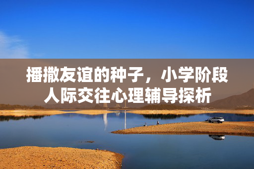 播撒友谊的种子，小学阶段人际交往心理辅导探析