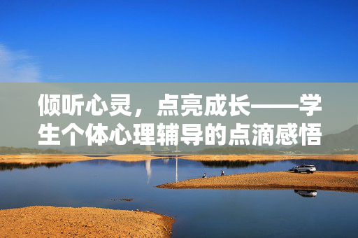 倾听心灵，点亮成长——学生个体心理辅导的点滴感悟，倾听心灵，点亮成长——学生个体心理辅导点滴感悟