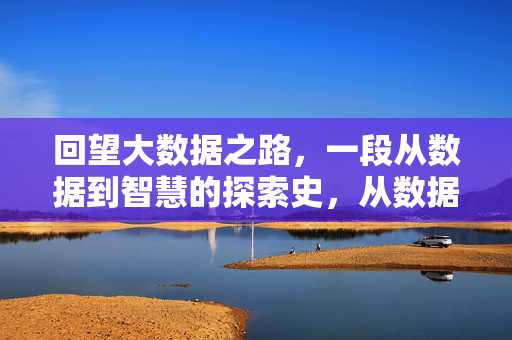 回望大数据之路,一段从数据到智慧的探索史,从数据到智慧,大数据探索史
