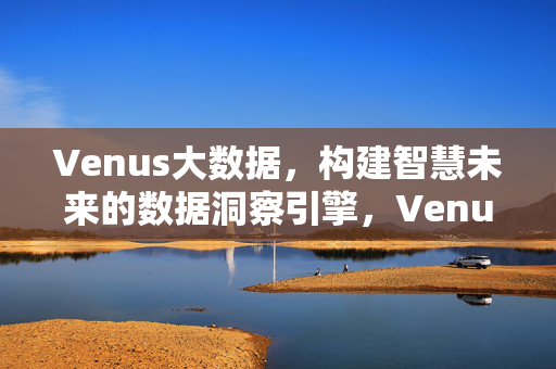 Venus大数据，构建智慧未来的数据洞察引擎，Venus大数据，智慧未来的数据洞察引擎