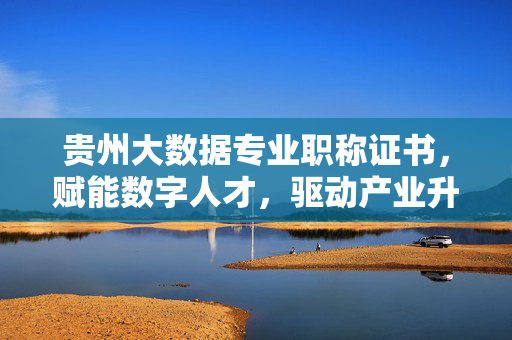 贵州大数据专业职称证书，赋能数字人才，驱动产业升级，贵州大数据专业职称证书，赋能数字人才 驱动产业升级