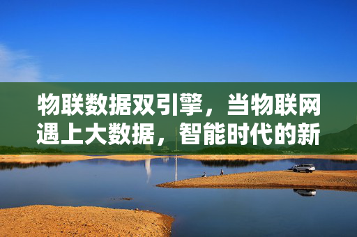 物联数据双引擎，当物联网遇上大数据，智能时代的新图景，物联数据双引擎，智能时代的新图景