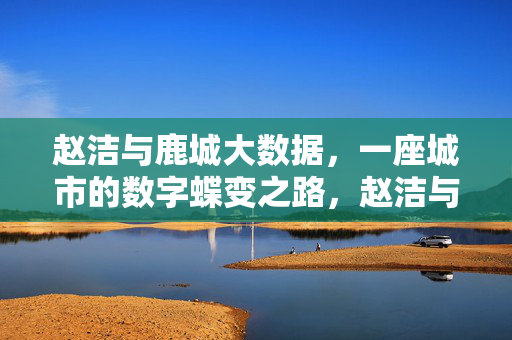 赵洁与鹿城大数据，一座城市的数字蝶变之路，赵洁与鹿城大数据，一座城市的数字蝶变之路