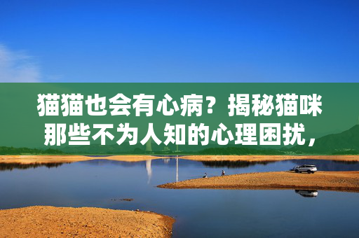 猫猫也会有心病？揭秘猫咪那些不为人知的心理困扰，猫猫的心病，揭秘不为人知的心理困扰