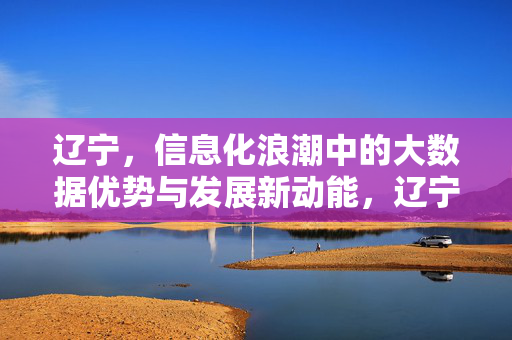 辽宁，信息化浪潮中的大数据优势与发展新动能，辽宁，信息化浪潮中大数据优势激活发展新动能