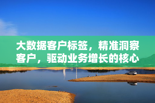 大数据客户标签，精准洞察客户，驱动业务增长的核心引擎，大数据客户标签，驱动业务增长的核心引擎