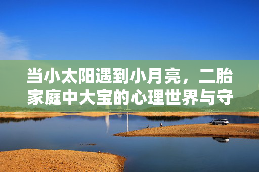 当小太阳遇到小月亮，二胎家庭中大宝的心理世界与守护之道，当小太阳遇到小月亮，二胎家庭大宝的心理守护之道