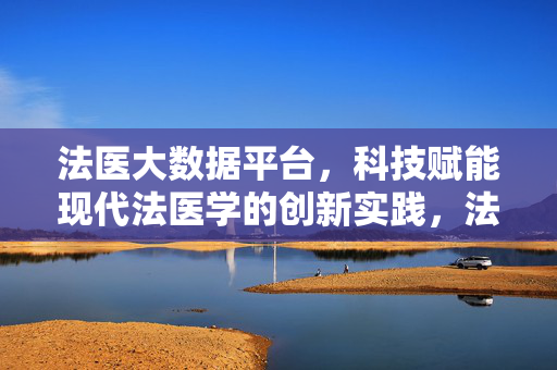 法医大数据平台，科技赋能现代法医学的创新实践，法医大数据平台，科技赋能现代法医学的创新实践