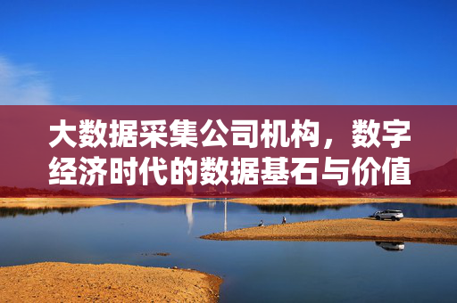 大数据采集公司机构，数字经济时代的数据基石与价值引擎，大数据采集，数字经济时代的基石与价值引擎