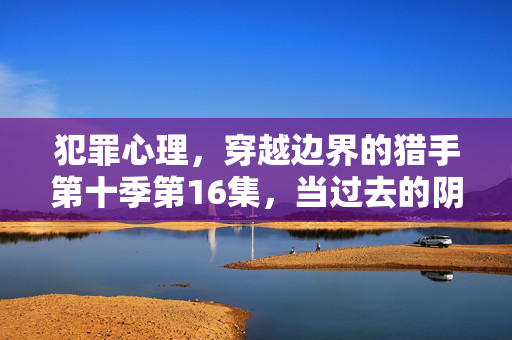 犯罪心理，穿越边界的猎手第十季第16集，当过去的阴影成为现在的锁链，阴影成链，犯罪心理第十季第16集