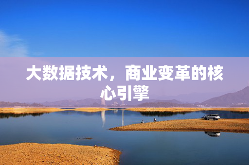 大数据技术，商业变革的核心引擎