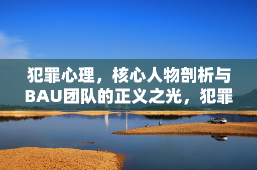 犯罪心理，核心人物剖析与BAU团队的正义之光，犯罪心理核心人物剖析，BAU团队的正义之光