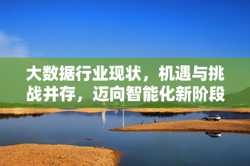 大数据行业现状，机遇与挑战并存，迈向智能化新阶段，大数据行业，机遇挑战并存，迈向智能化新阶段