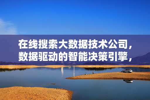 在线搜索大数据技术公司，数据驱动的智能决策引擎，大数据技术公司，数据驱动的智能决策引擎