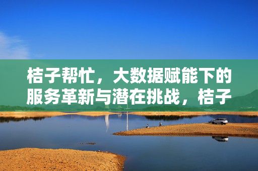 桔子帮忙，大数据赋能下的服务革新与潜在挑战，桔子帮忙，大数据赋能下的服务革新与挑战
