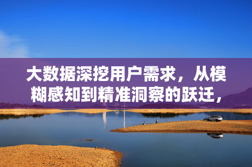 大数据深挖用户需求，从模糊感知到精准洞察的跃迁，大数据深挖用户需求，从模糊感知到精准洞察的跃迁