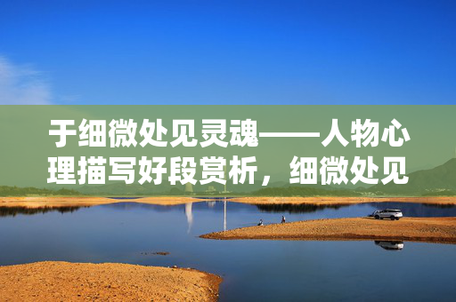 于细微处见灵魂——人物心理描写好段赏析，细微处见灵魂，人物心理描写好段赏析