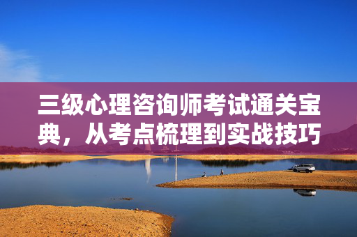三级心理咨询师考试通关宝典，从考点梳理到实战技巧，助你高效备考，三级心理咨询师考试通关宝典，考点梳理·实战技巧·高效备考