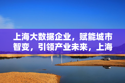 上海大数据企业，赋能城市智变，引领产业未来，上海大数据企业，赋能城市智变 引领产业未来