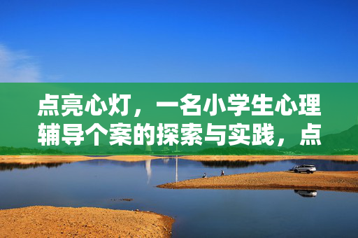 点亮心灯，一名小学生心理辅导个案的探索与实践，点亮心灯，小学生心理辅导个案的实践探索