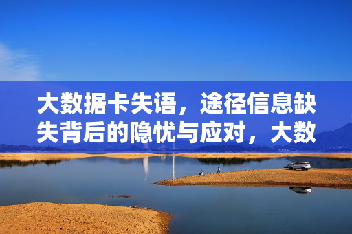 大数据卡失语，途径信息缺失背后的隐忧与应对，大数据卡失语，途径信息缺失的隐忧与应对