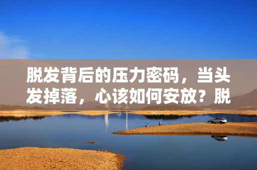 脱发背后的压力密码，当头发掉落，心该如何安放？脱发压力密码，发落时，心之安放