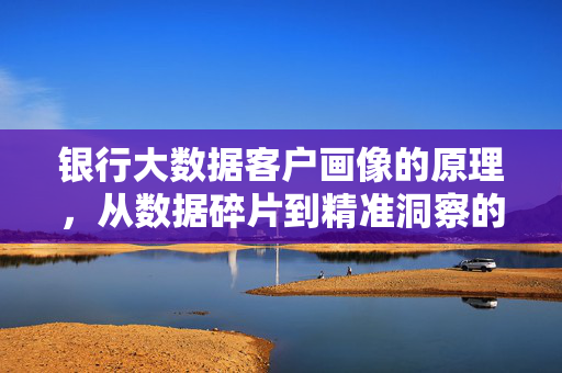 银行大数据客户画像的原理，从数据碎片到精准洞察的构建之路，银行大数据客户画像，从数据碎片到精准洞察的构建原理