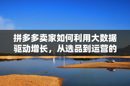 拼多多卖家如何利用大数据驱动增长，从选品到运营的全链路策略，大数据驱动拼多多卖家增长，选品到运营全链路策略